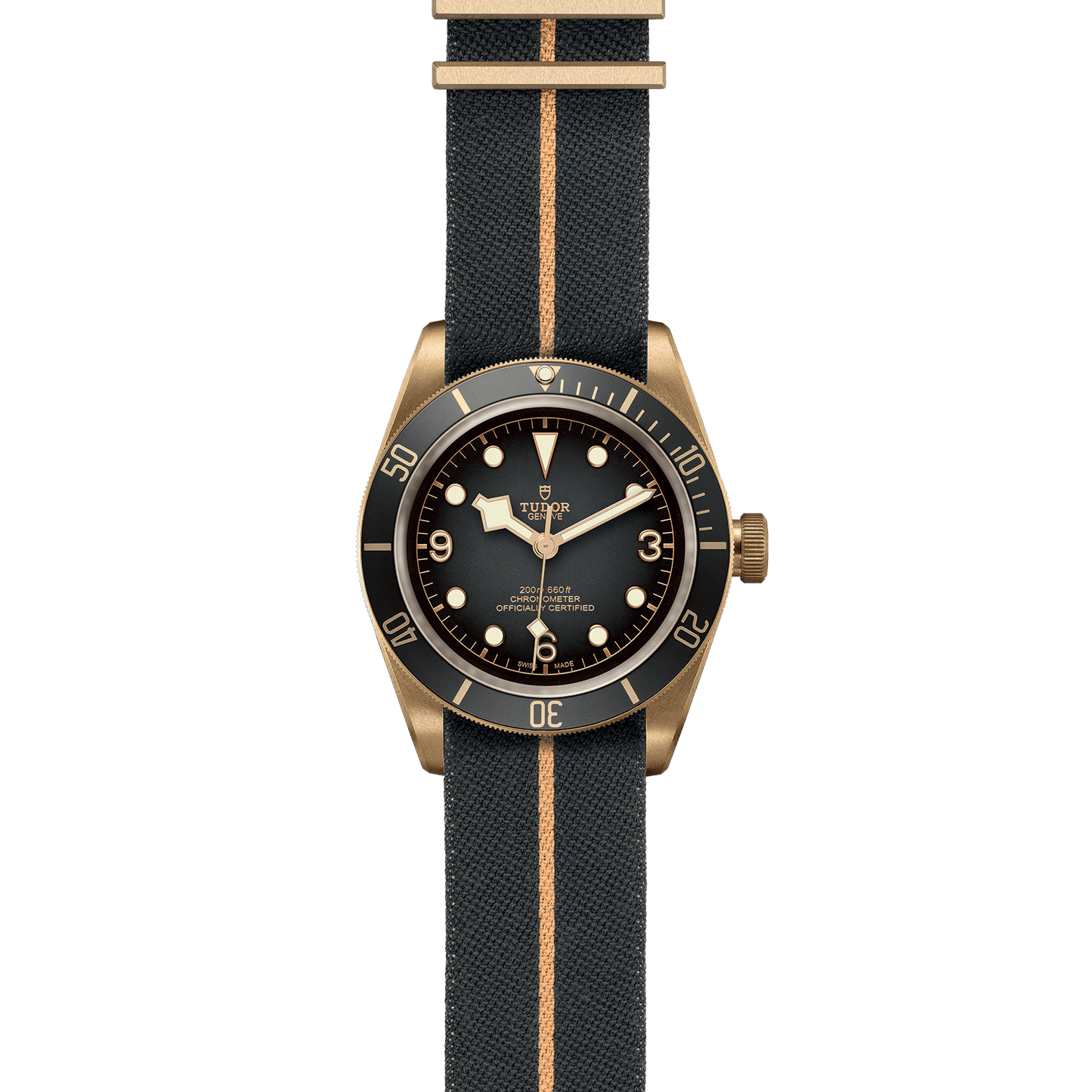 Black Bay Bronze