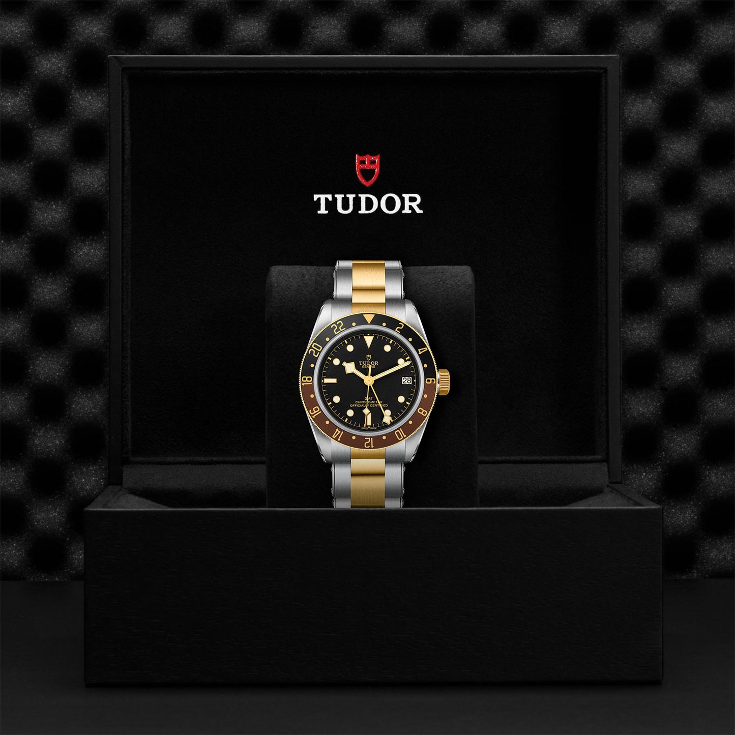 Black Bay GMT
