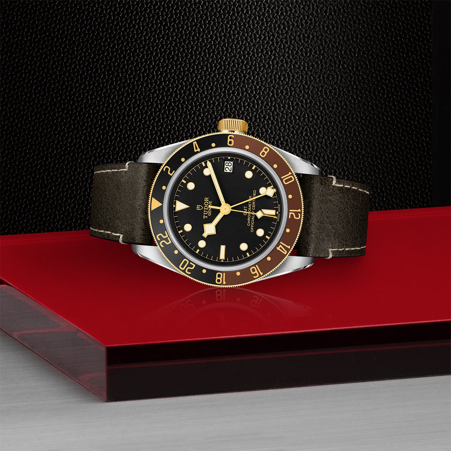 Black Bay GMT