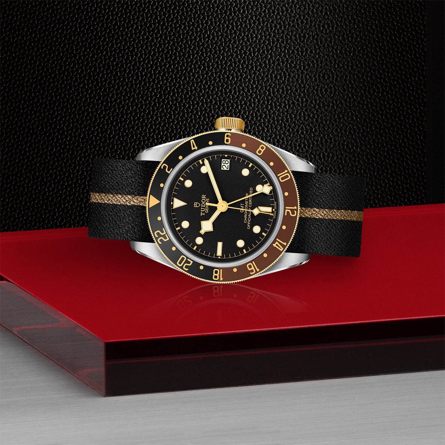 Black Bay GMT